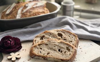Brot und Brotscheiben angerichtet für Rezept Mühlenkruste aus dem Ofenmeister 