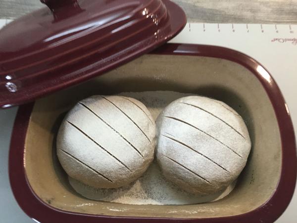 Rohe Teiglinge für 5 Min Brot aus dem Ofenmeister von Pampered Chef®