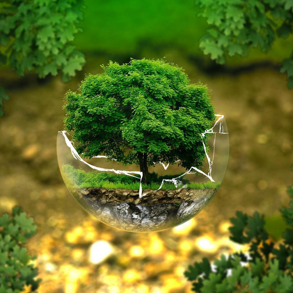Angedeutete Erde mit Baum als Synonym für den Umweltschutz